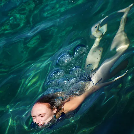 Palace Lidija Vranjic